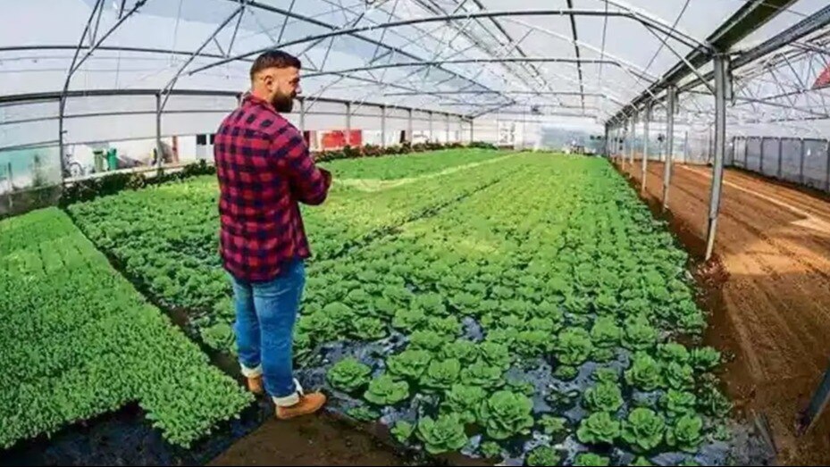 polyhouse and shade net scheme