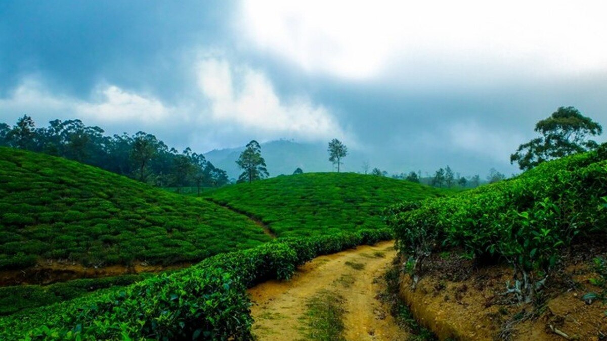 बसंत ऋतु में भारत में घूमने के लिए सबसे अच्छी जगहें