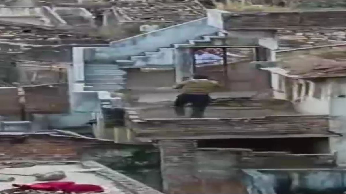 गांव में घुसे तेंदुए ने मचाया आतंक. (Video Grab)