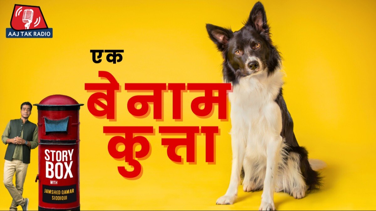 Storybox with Jamshed Qamar 