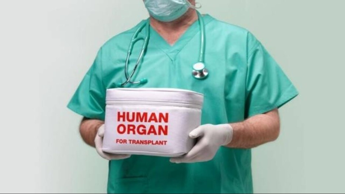 (सांकेतिक तस्वीर)