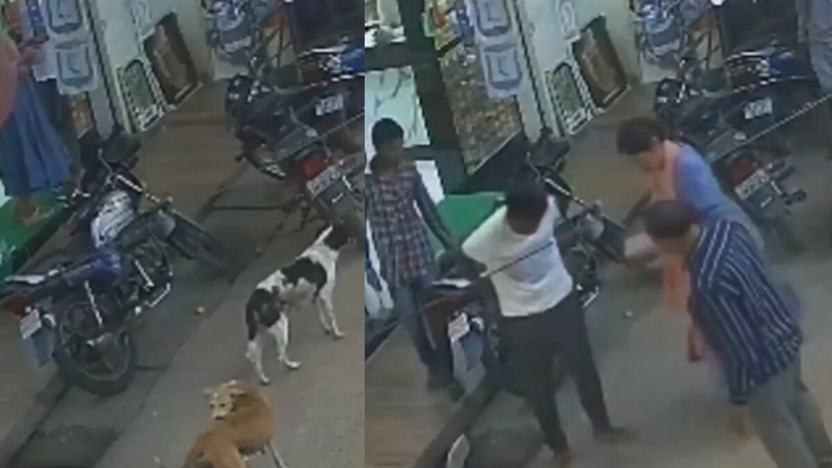 खौफनाक VIDEO: बीच सड़क कुत्ते का आतंक, जबड़े में दबोचा किसी का हाथ तो किसी का पैर