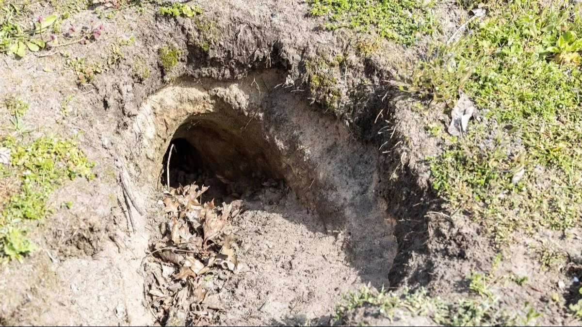 गार्डन में पड़े पत्थर के नीचे थी 'दूसरी दुनिया', अंदर जाकर हैरान रह गया कपल