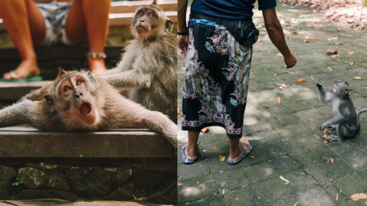 हमले के पीड़ित लोगों को मुआवजा देगी सरकार (प्रतीकात्मक तस्वीर- Pexels)