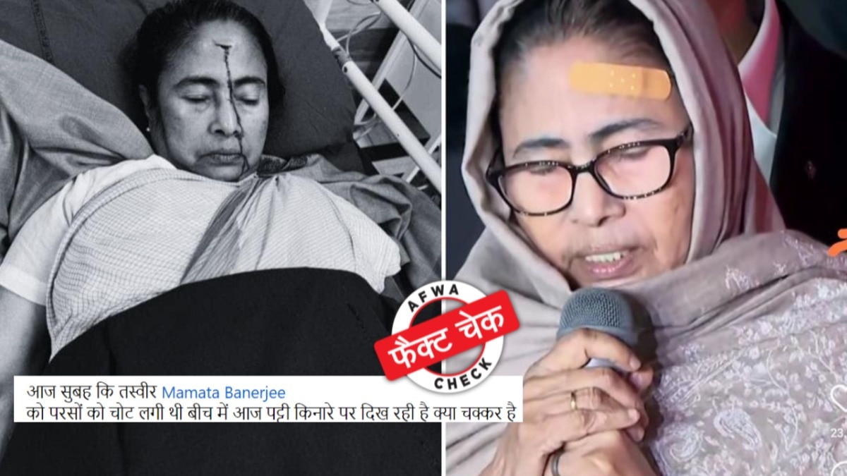 सोशल मीडिया यूजर्स