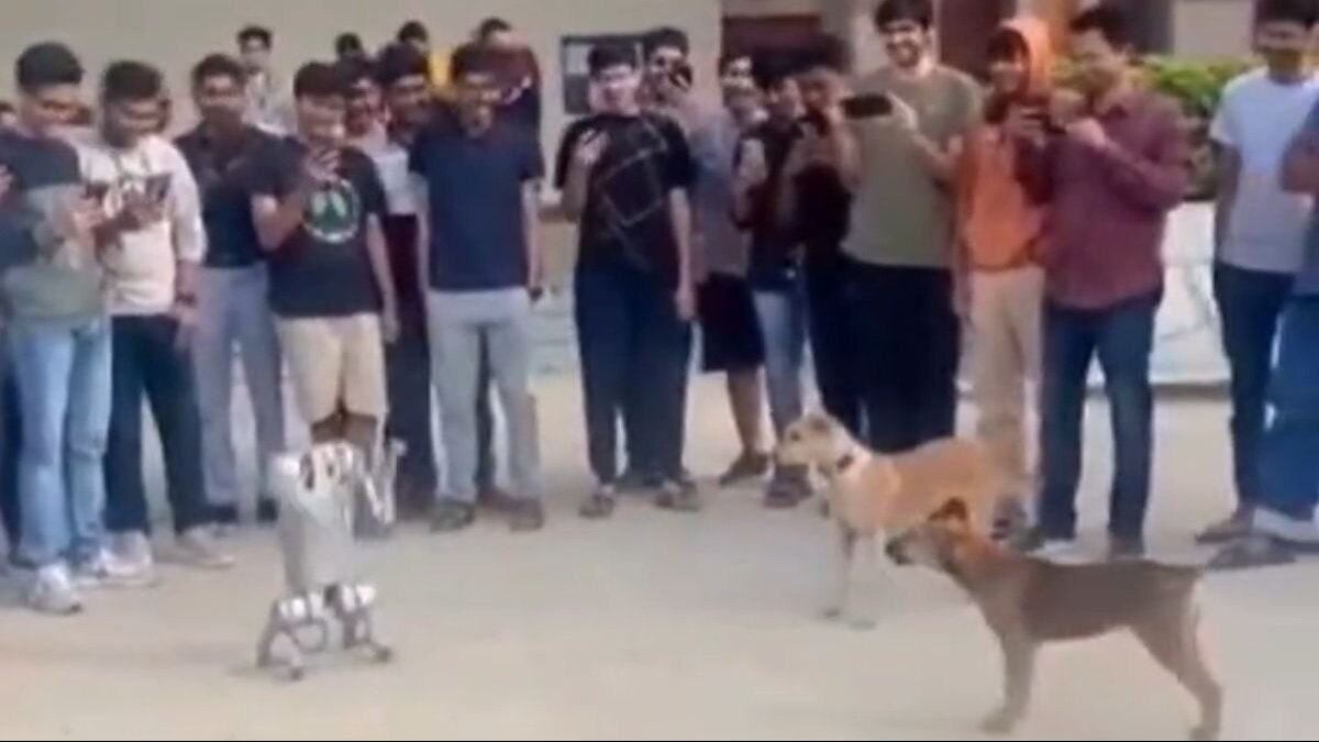 रोबोट के साथ भागते दौड़ते दिखे डॉग्स.