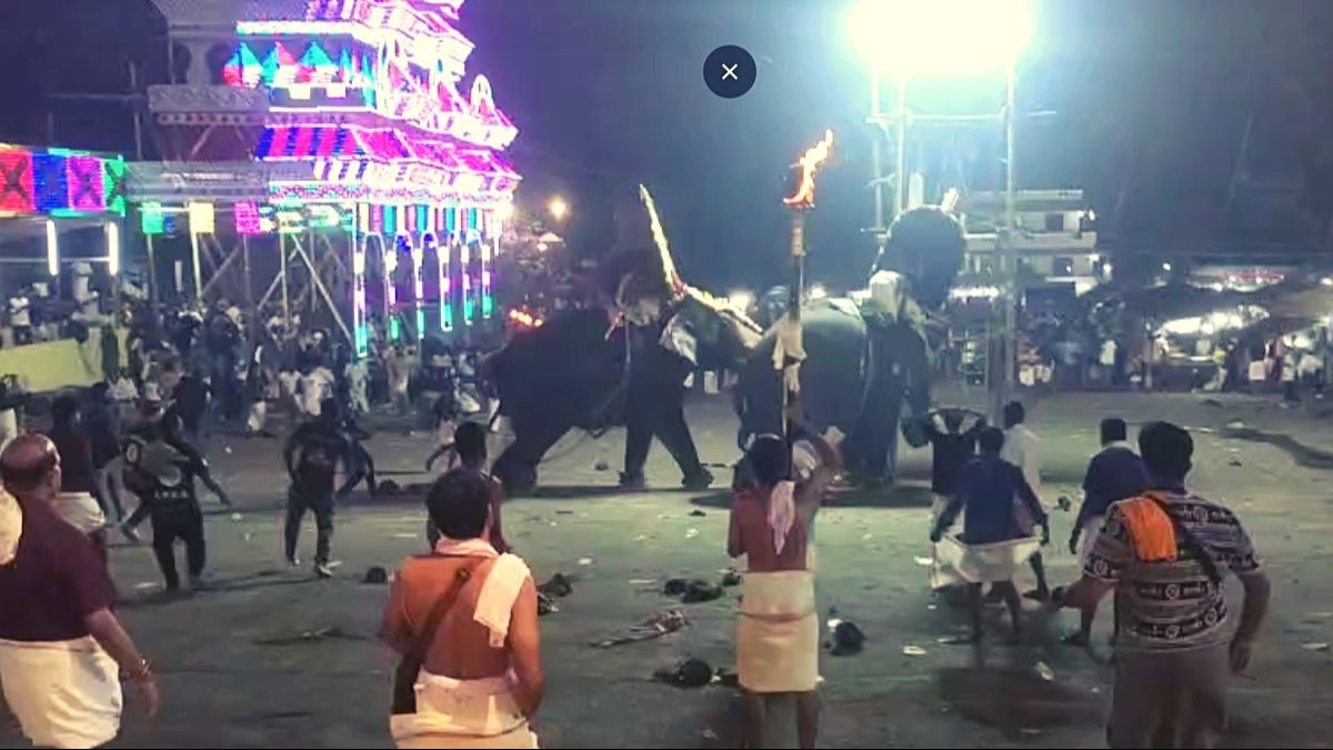 आपस में लड़ने लगे हाथी. (Video Grab)