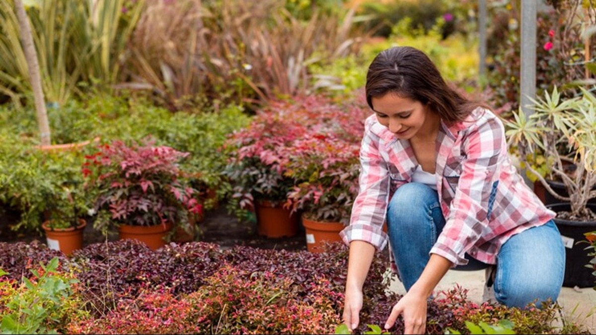 Mental Health Problems (Image: Freepik)