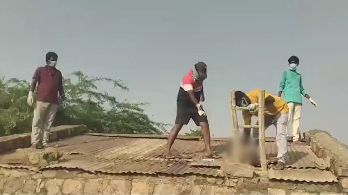 पानी की टंकी में मिले बंदरों के शव. 