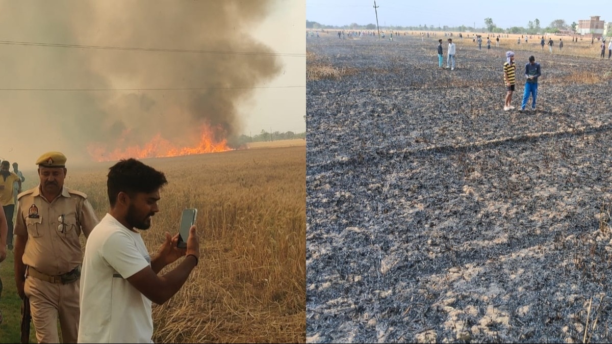 आग लगने से फसल बर्बाद.