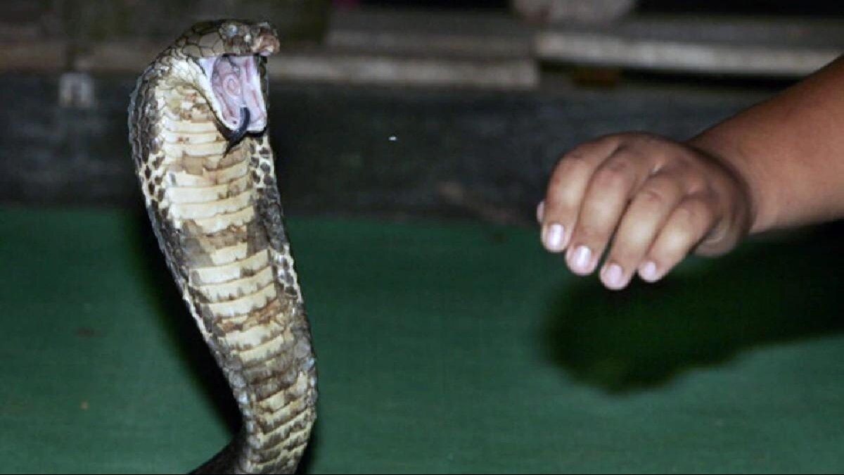 प्रतीकात्मक फोटो.