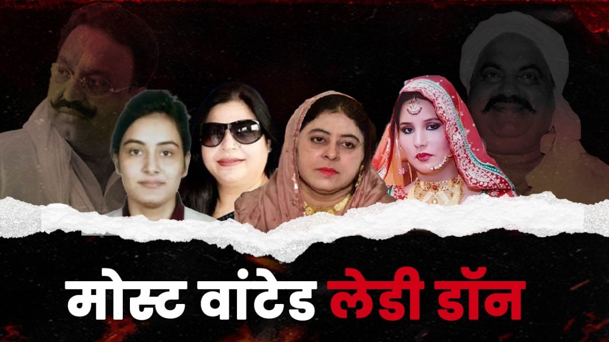 Most wanted lady don