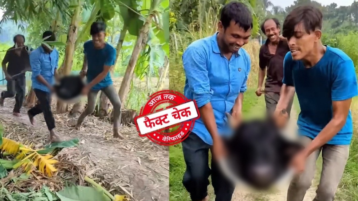 सोशल मीडिया यूजर्स