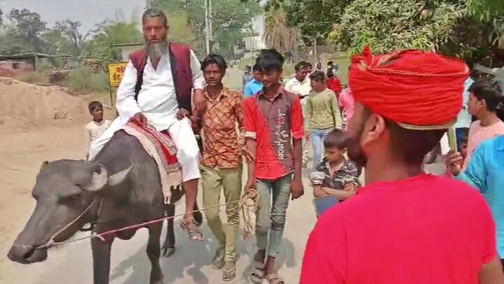 बस्ती: भैंसे पर सवार नेताजी 