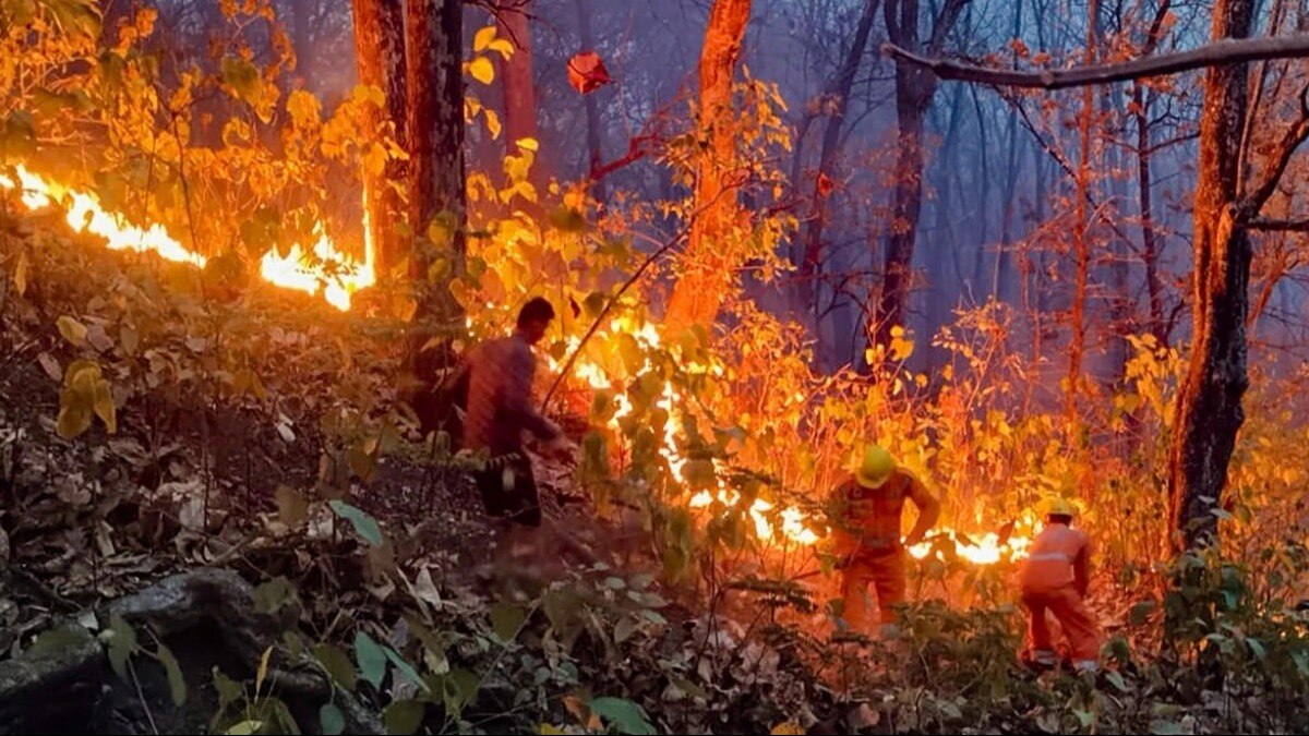 पिछले साल 1 नवंबर से अब तक उत्तराखंड के जंगलों में आग लगने की 910 घटनाएं हो चुकी हैं और करीब 1145 हेक्टेयर जंगल प्रभावित हुआ है. (PTI Photo)