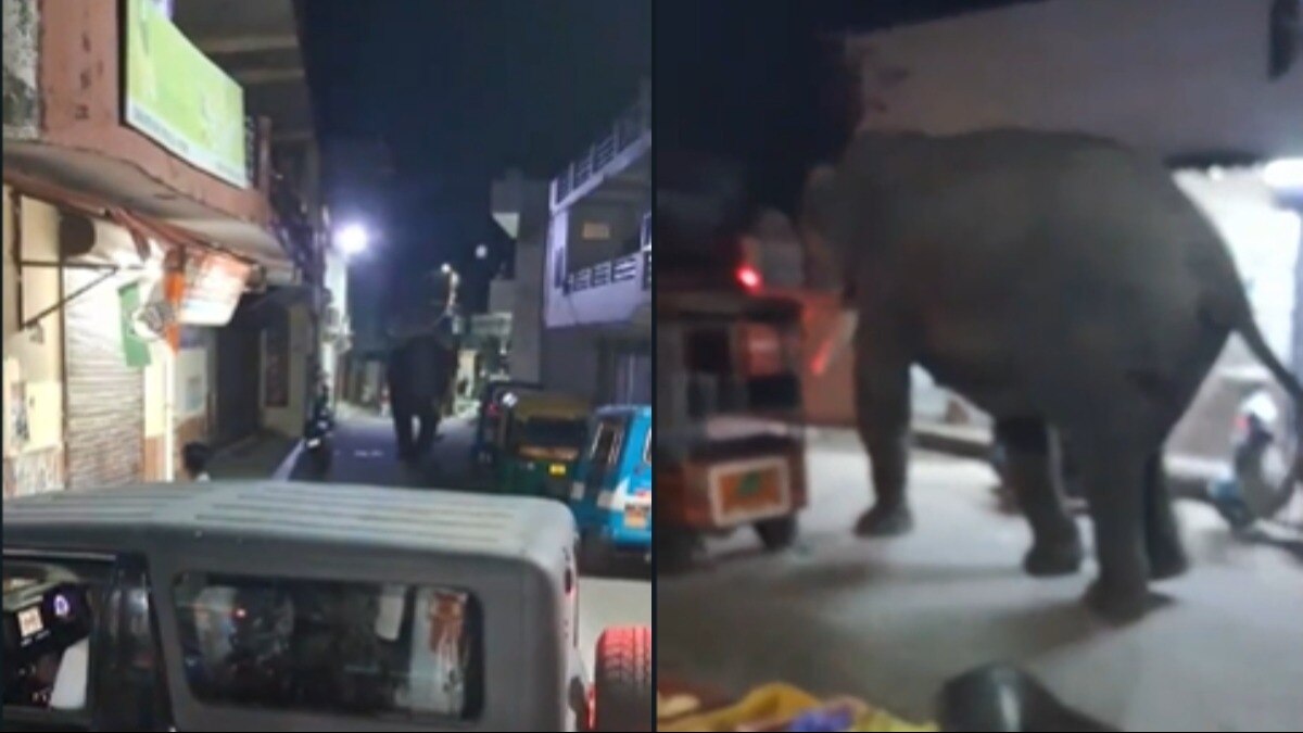 लोगों ने बनाए वीडियो.