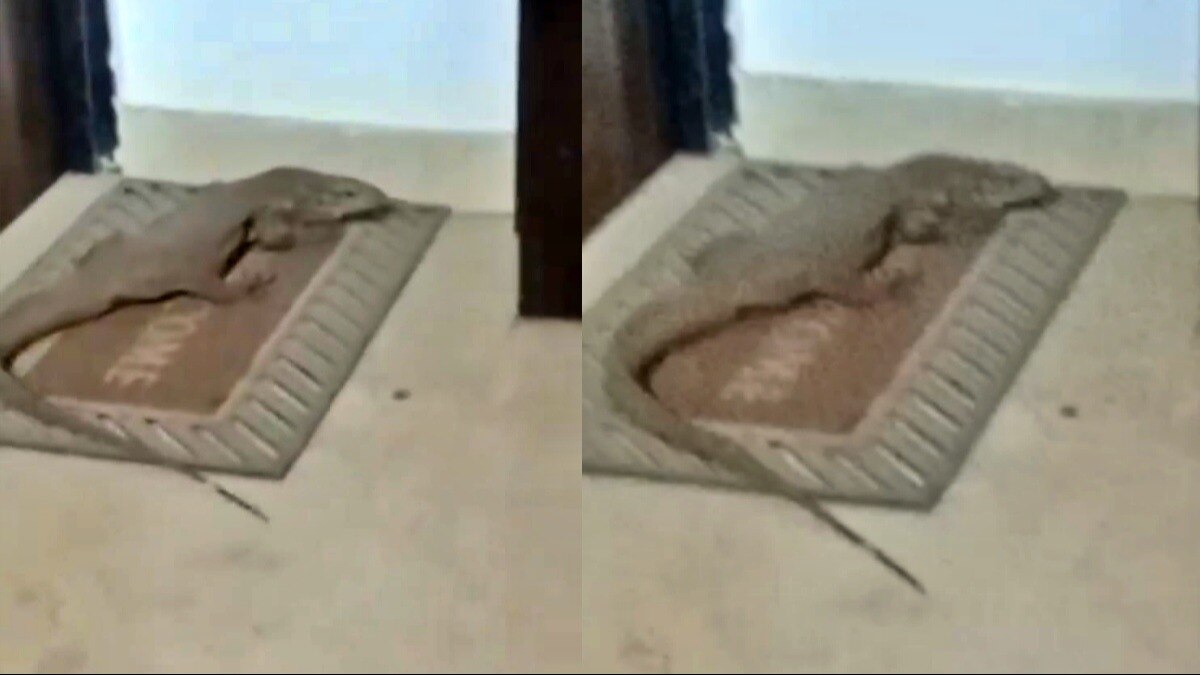 लखनऊ: फ्लैट में मगरमच्छ जैसा जानवर दिखने से हड़कंप