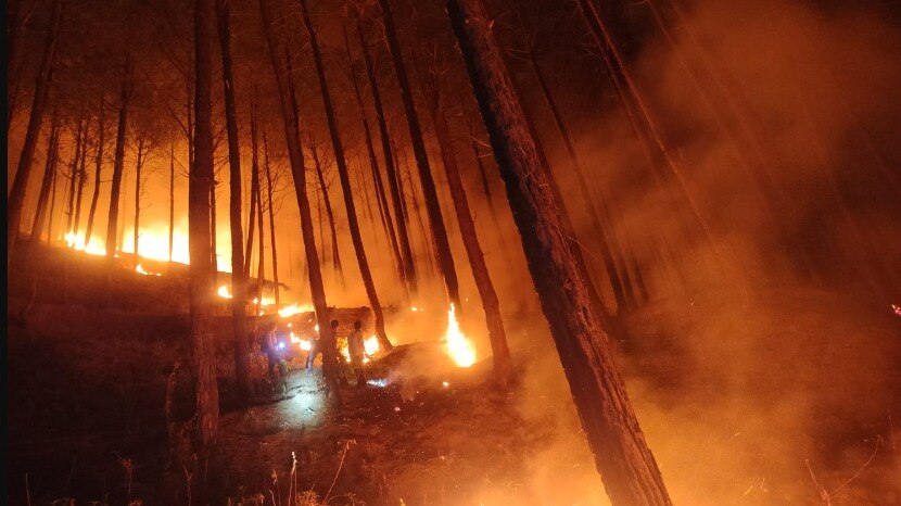 उत्तरकाशी के जंगल में लगी भीषण आग.