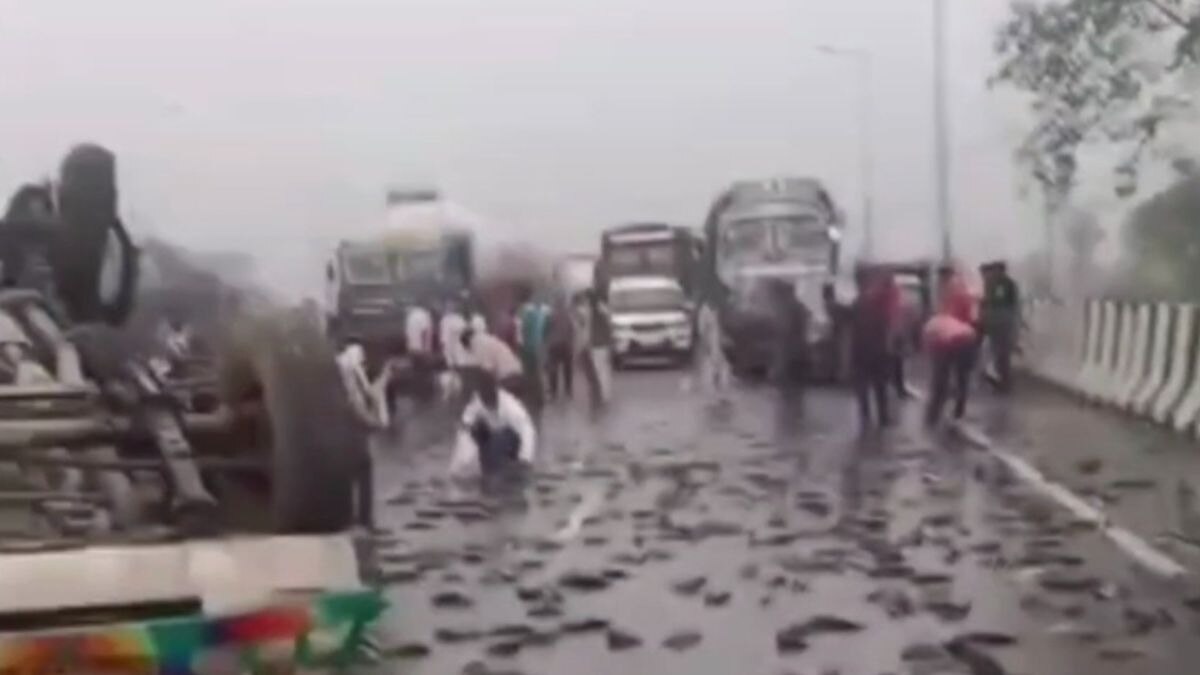 सड़क पर बिखरी मछलियां समेटते लोग.