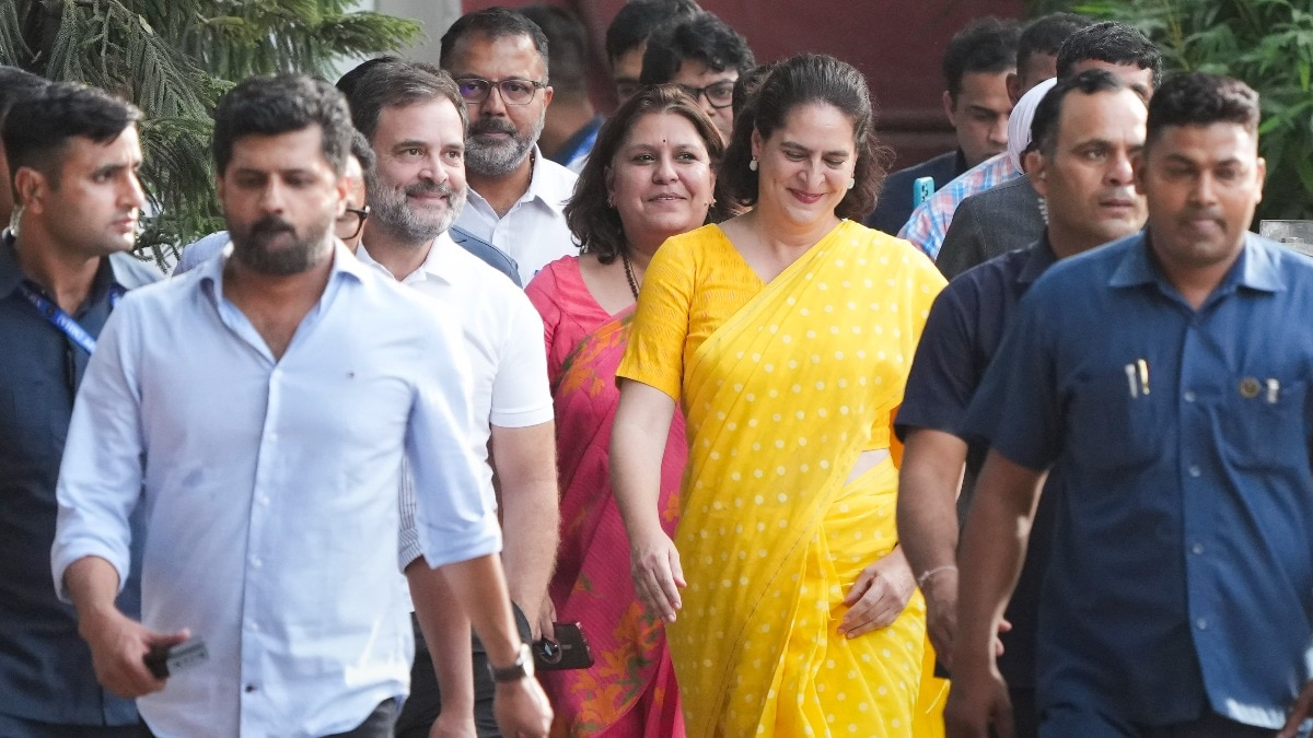 राहुल गांधी और प्रियंका गांधी (फोटो- पीटीआई)