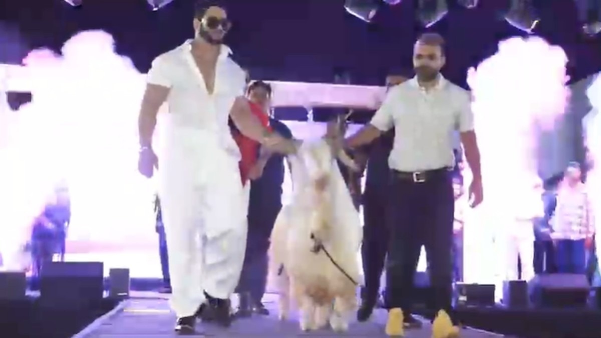 रैंप वॉक करता शो स्टॉपर 'King' 