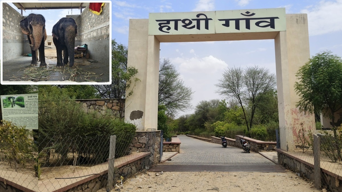 हाथी गांव का मुख्य द्वार. (इनसेट में हाथी)