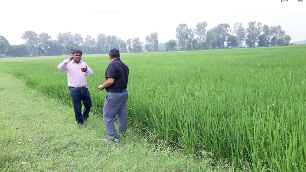 नई तकनीकी से फसल की बुआई