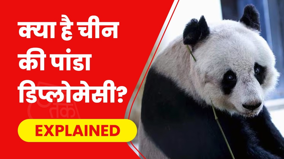 चीन पांडा डिप्लोमेसी के जरिए दूसरे देशों से संबंध सुधारने की कोशिश करता है.