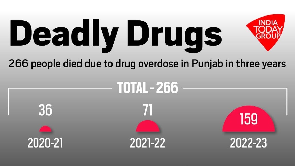 पंजाब में 3 साल में नशीली दवाओं की ओवरडोज से 280 मौतें.