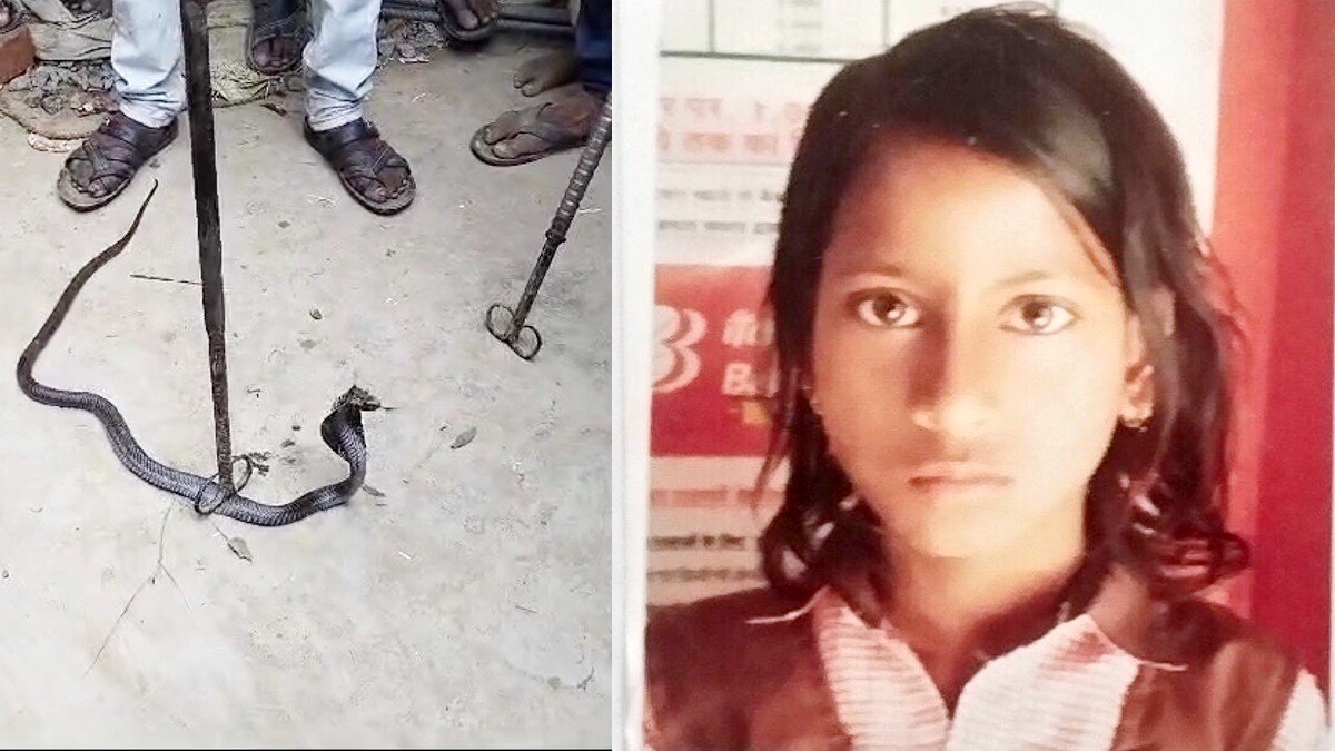 नाग के डंसने से किशोरी की मौत. 