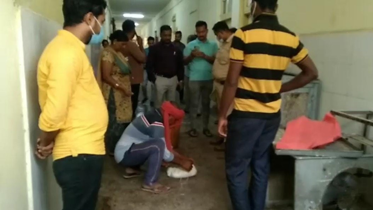 कचरे के डिब्बे में मिला नवजात का शव.