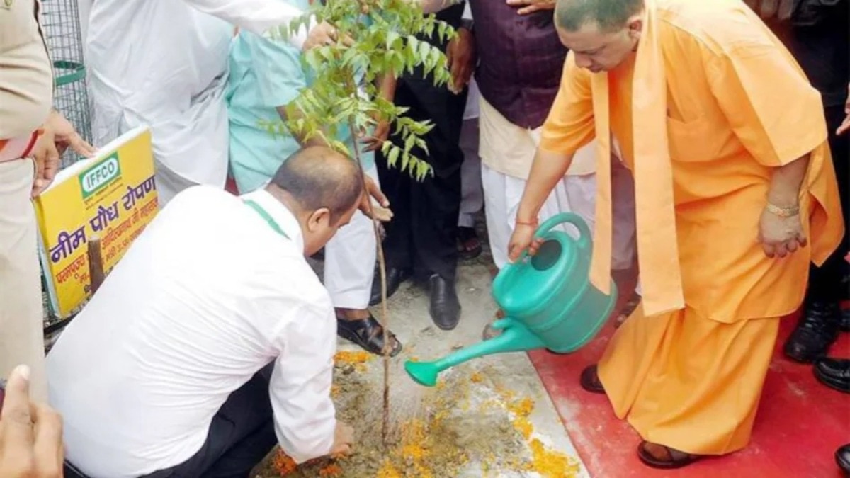 पेड़ लगाते योगी आदित्यनाथ(फाइल फोटो).