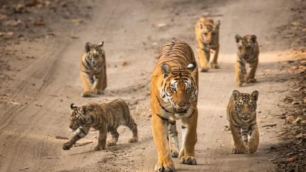 (फाइल फोटो)