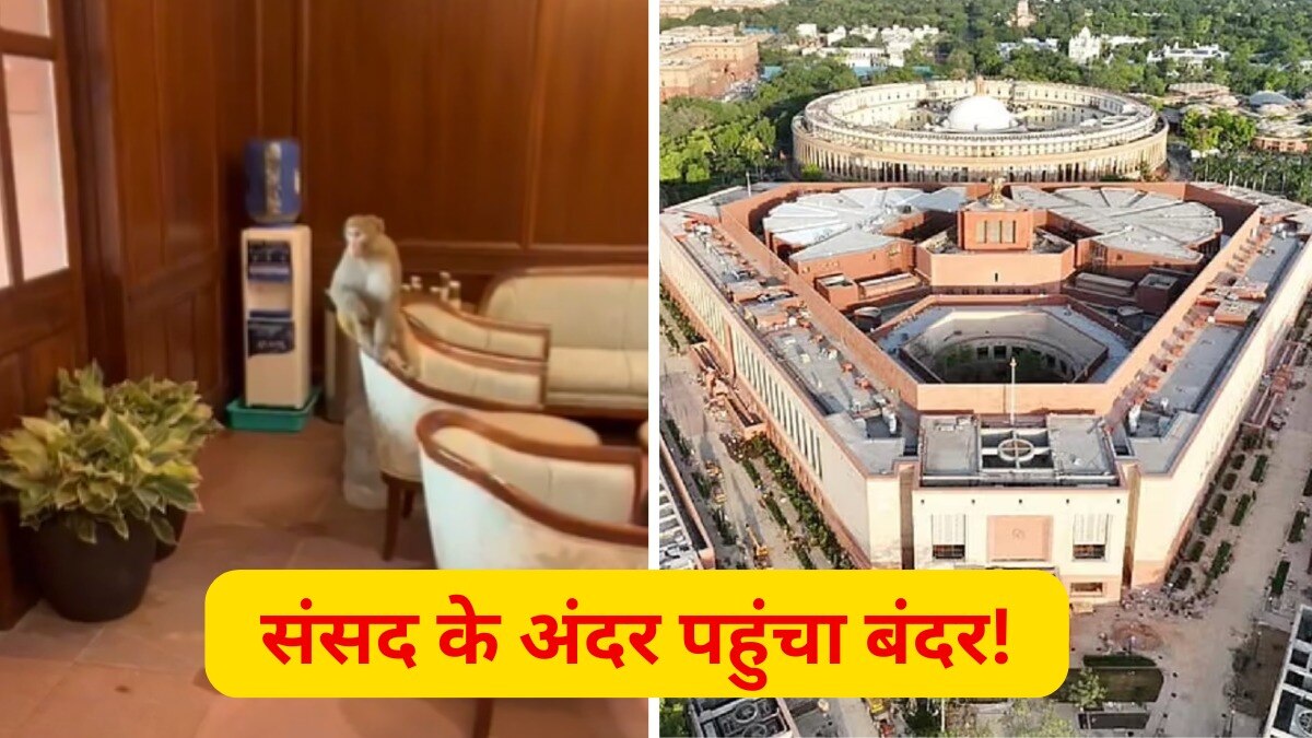 संसद भवन में बंदर बैठा नजर आया