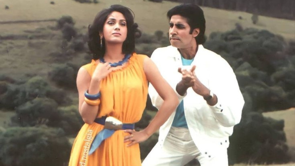 मीनाक्षी शेषाद्रि, अमिताभ बच्चन