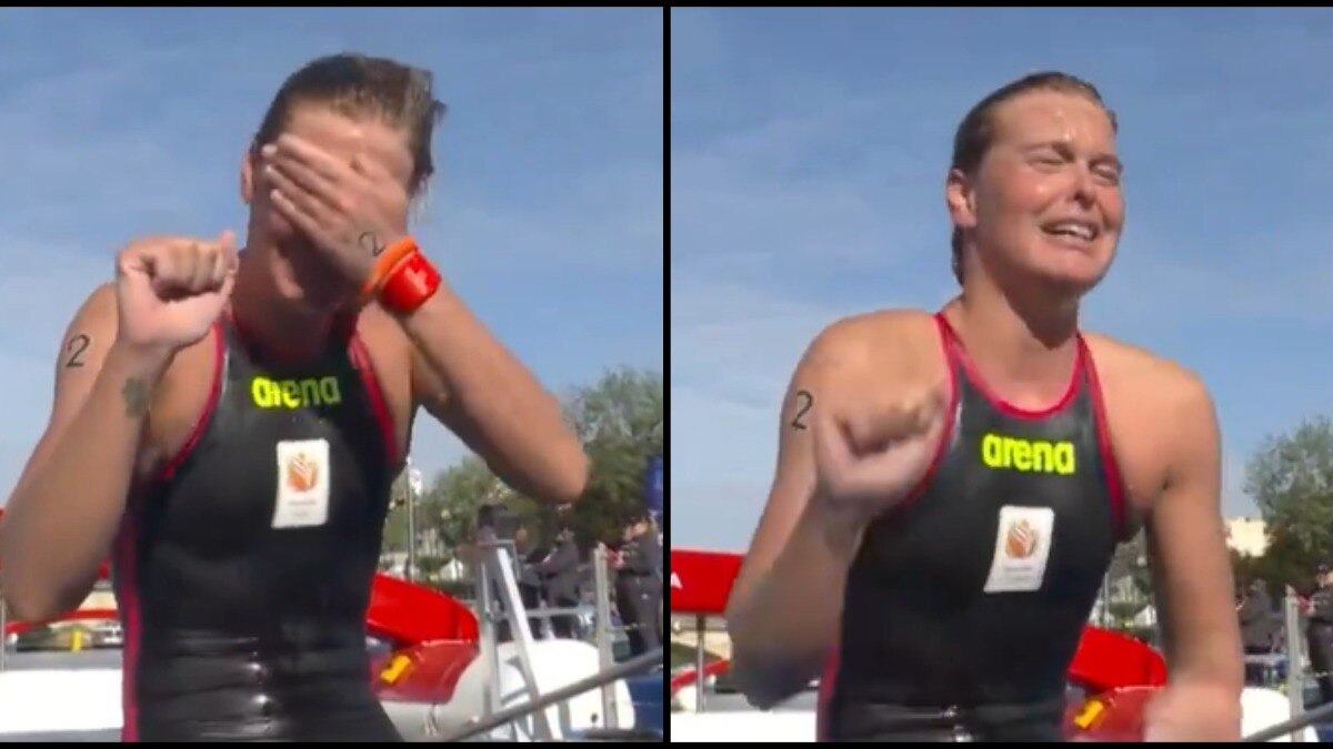 photo: Instagram/@weratedogs