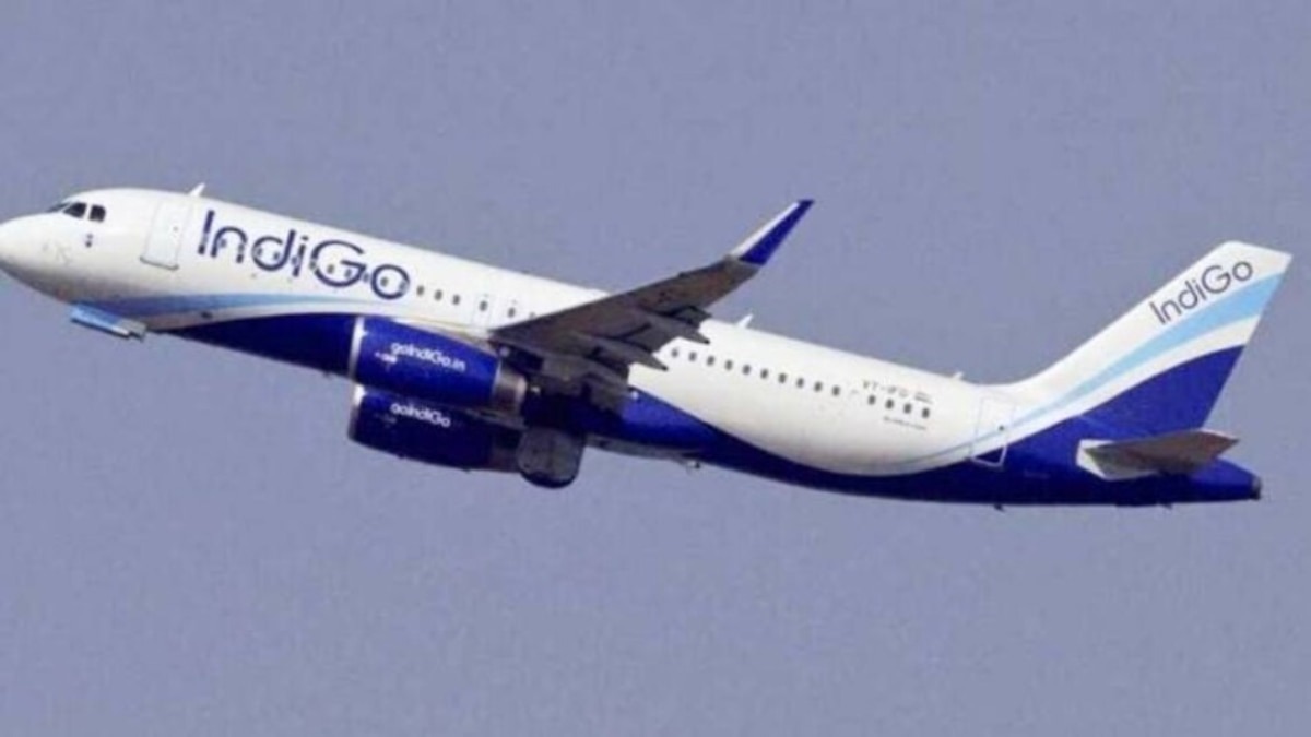 क्या है Indigo की  'Cute Fee', बहस छिड़ी तो एयरलाइंस ने दिया जवाब