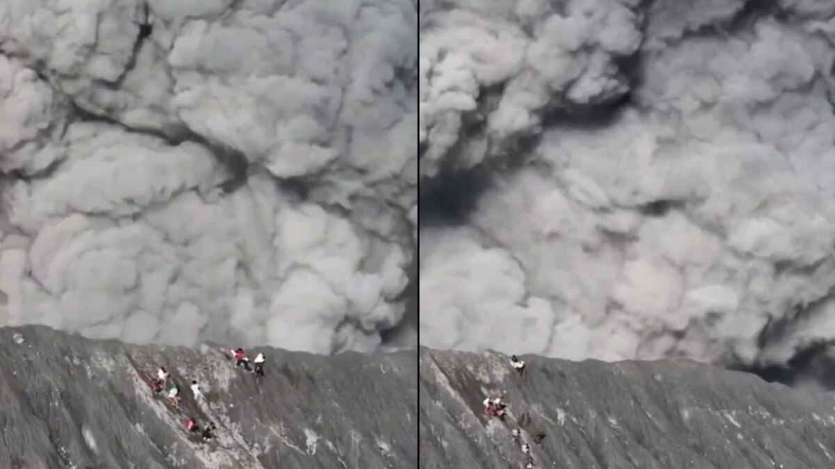 फोटो: सोशल मीडिया/X