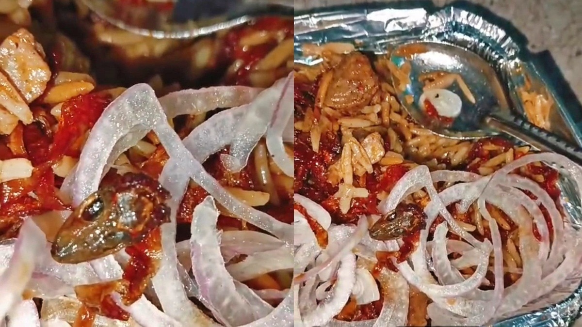 वेज बिरयानी में छिपकली 