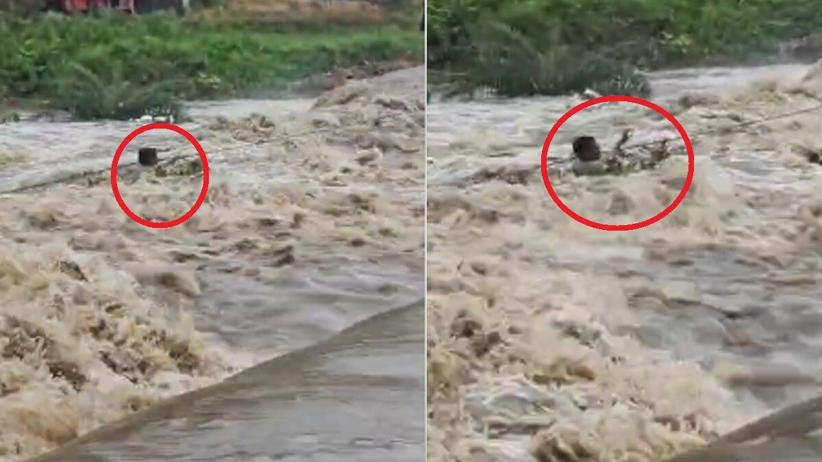 उफनती नदी के बीच में फंसा शख्स.