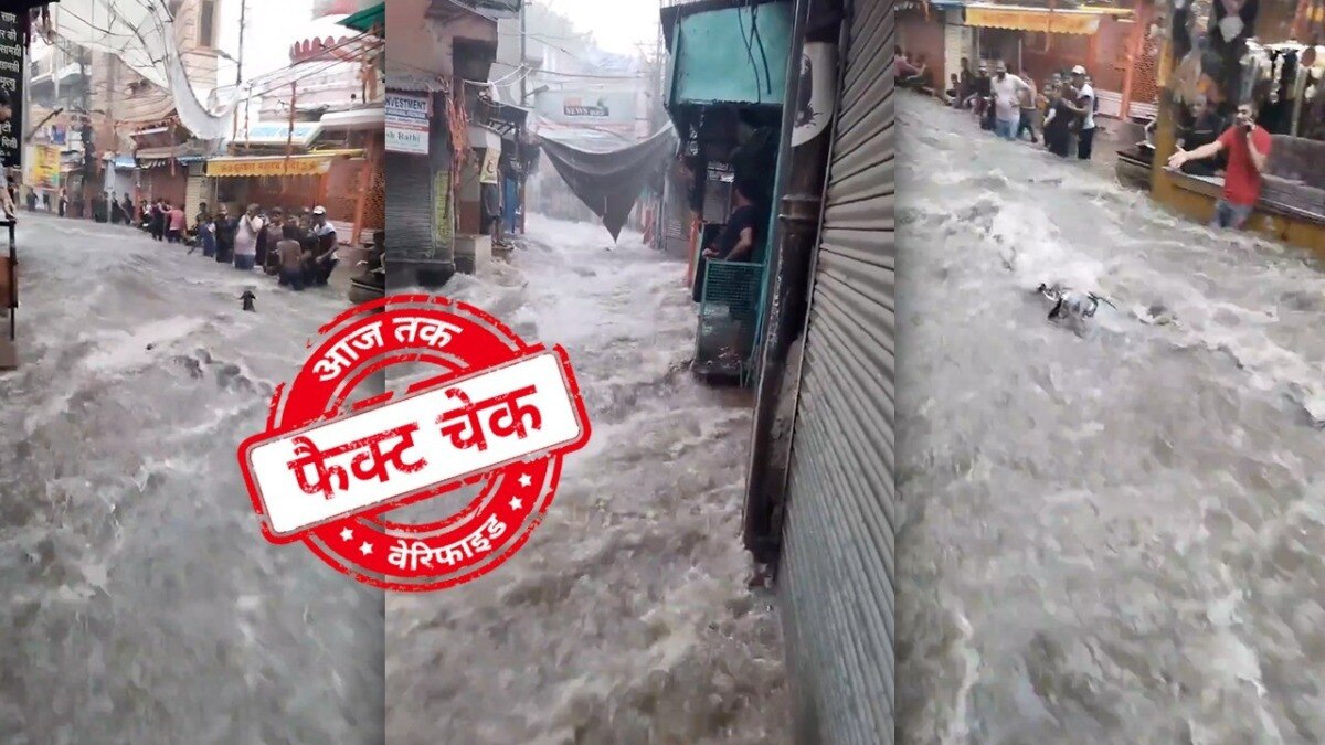 सोशल मीडिया यूजर्स