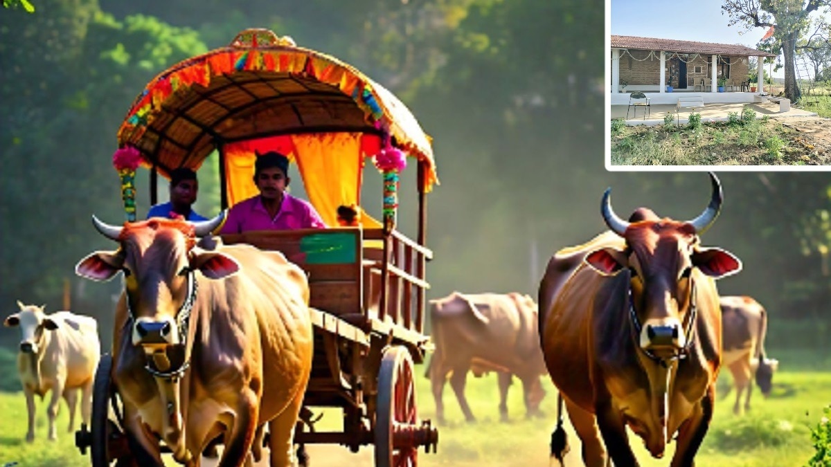 प्रतीकात्मक तस्वीर (Image Source: META AI)