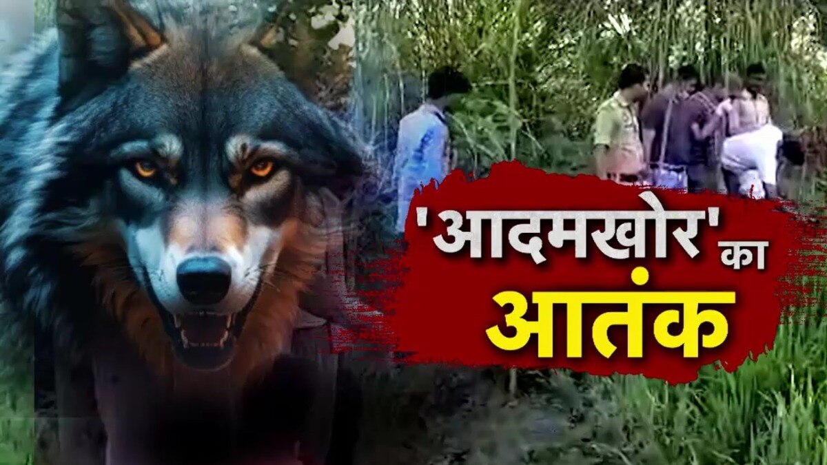Bahraich Wolf Attack 