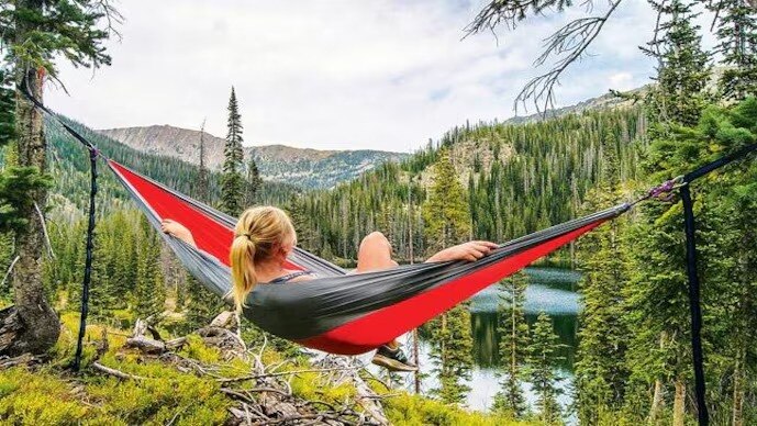 स्लो लाइफ