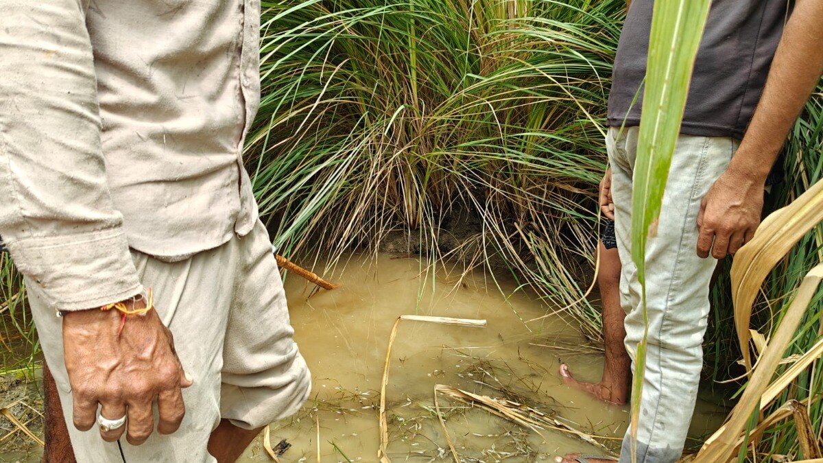 बहराइच में मिली भेड़िये की मांद