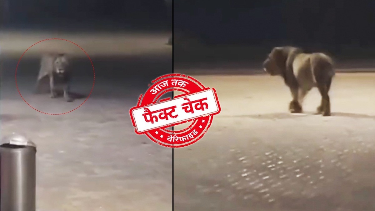 सोशल मीडिया यूजर्स