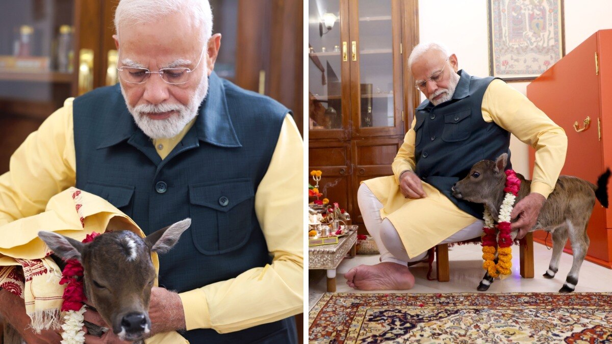 PM आवास में हुआ नन्हे मेहमान 'दीपज्योति' का आगमन, गौमाता ने नव वत्सा को दिया जन्म