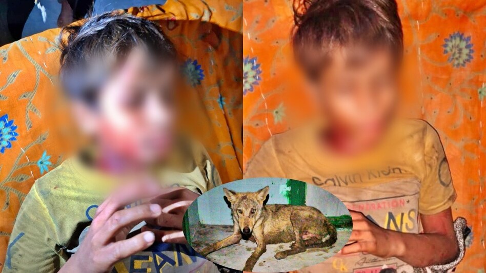 बहराइच में भेड़िया का आतंक जारी