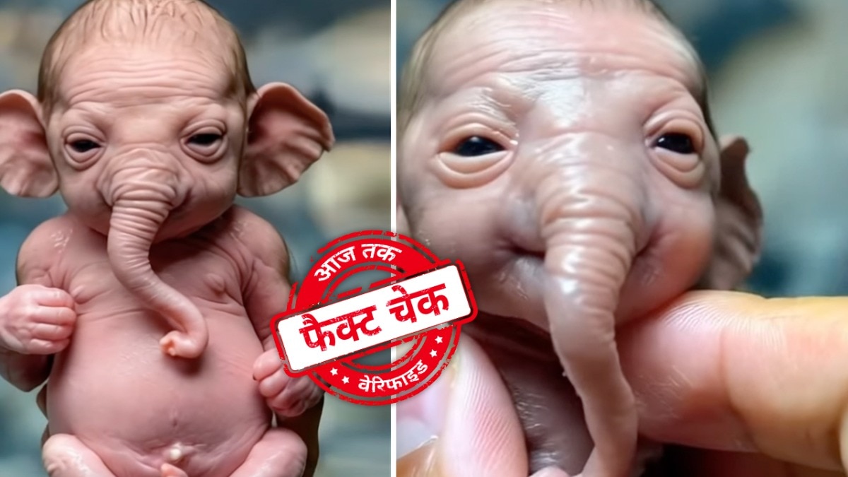 सोशल मीडिया यूजर्स