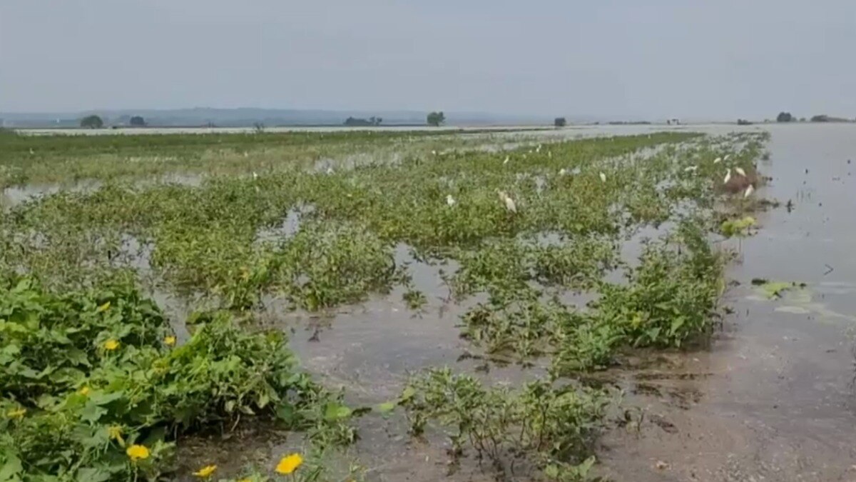 Ganga-Yamuna-Saryu river swollen